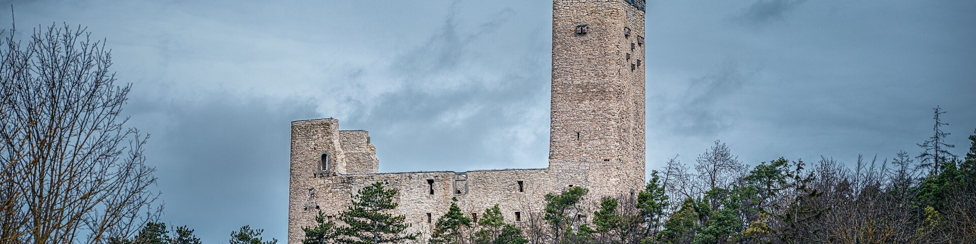 A medieval castle with a tall tower, surrounded by dense forest.