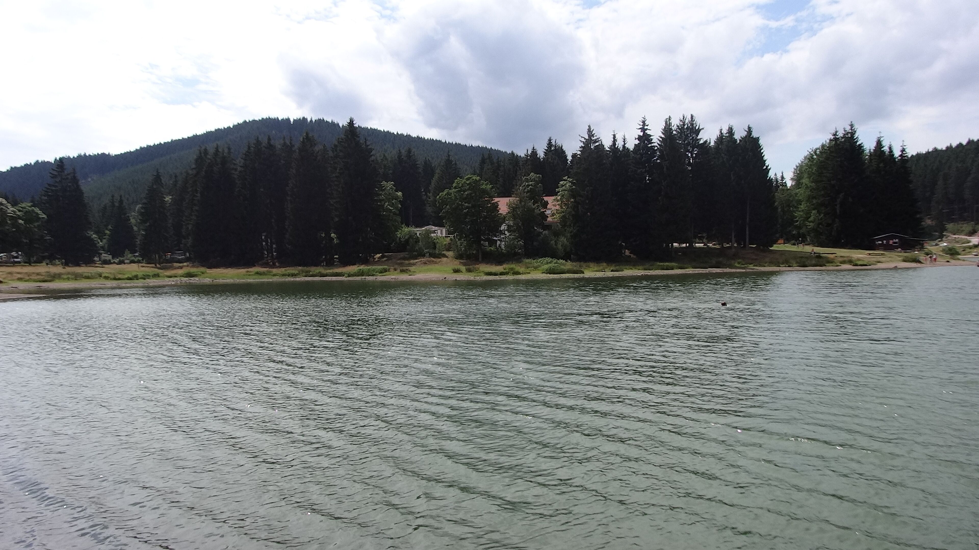 A calm river with a forested hillside in the background.