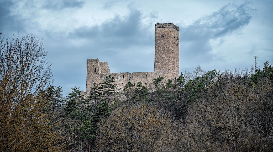 Burg Ehrenstein