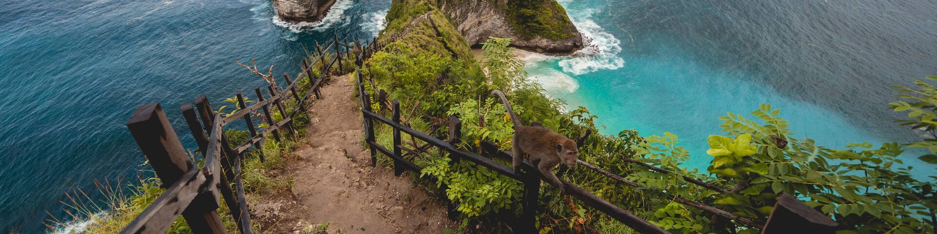 A monkey protecting the path to the beach
#ADVENTURE PHOTO CONTEST