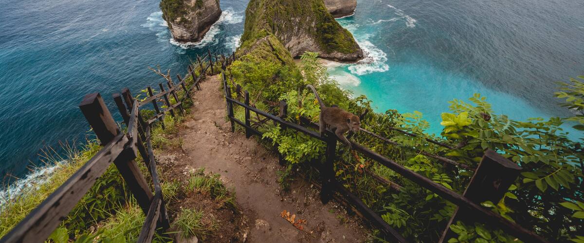 A coastal landscape with a wooden staircase leading down to the sea, surrounded by lush greenery and two prominent rock formations.