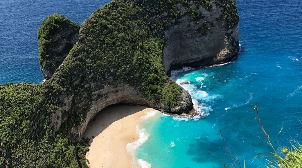Nusa Penida is quickly opening up to mass tourism. Hurry up before this still wild forest-covered island turns into a giant resort. 30 min by speedboat from Sanur Harbor in Bali. Roads on the island are not good, you better hire a driver.