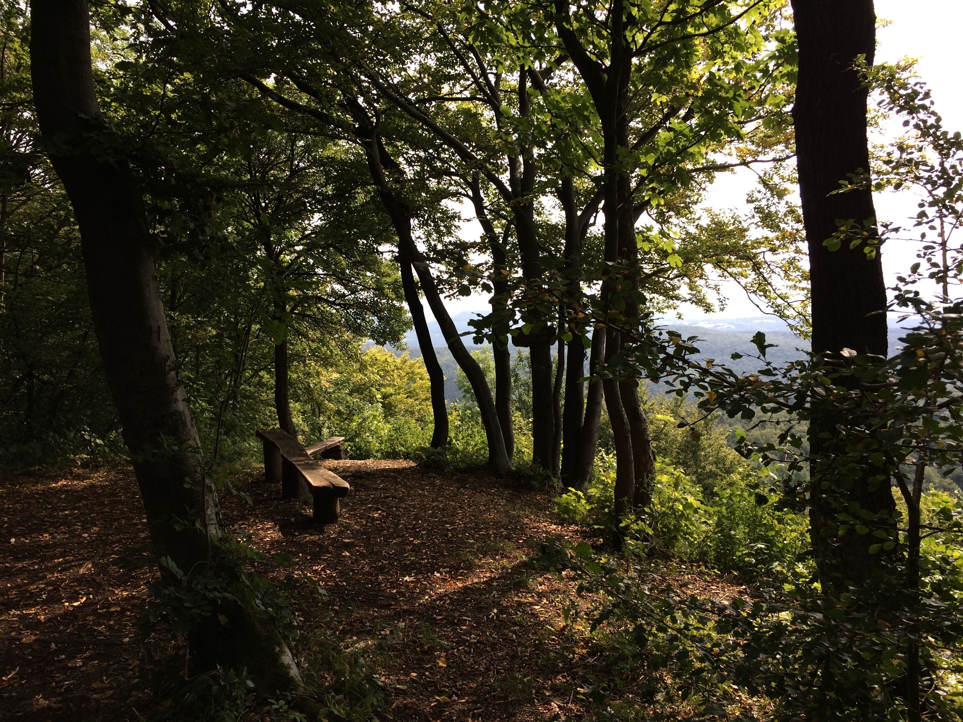 Aussichtspunkt Silberklippe (491 m) am Werra-Burgen-Steig Hessen (X5H)