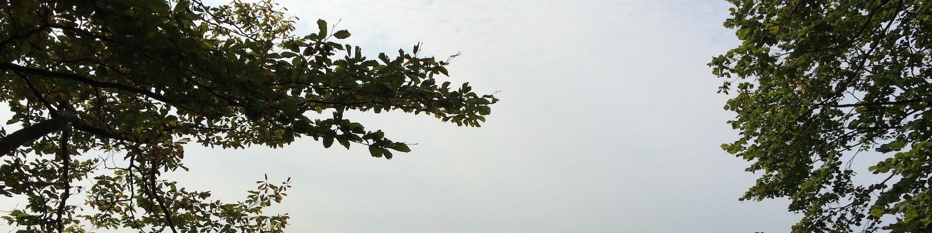 Aussichtspunkt Silberklippe (491 m) am Werra-Burgen-Steig Hessen (X5H) mit Blick auf Werrtalsee, Leuchtberg und Eschwege