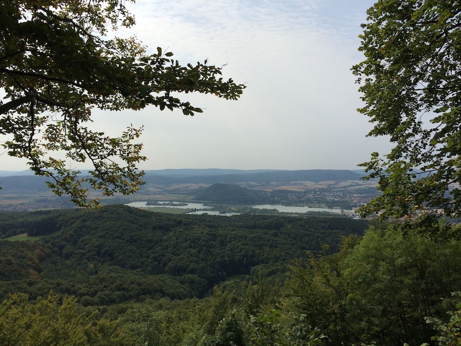 A valley with dense forest, a river, and distant hills.