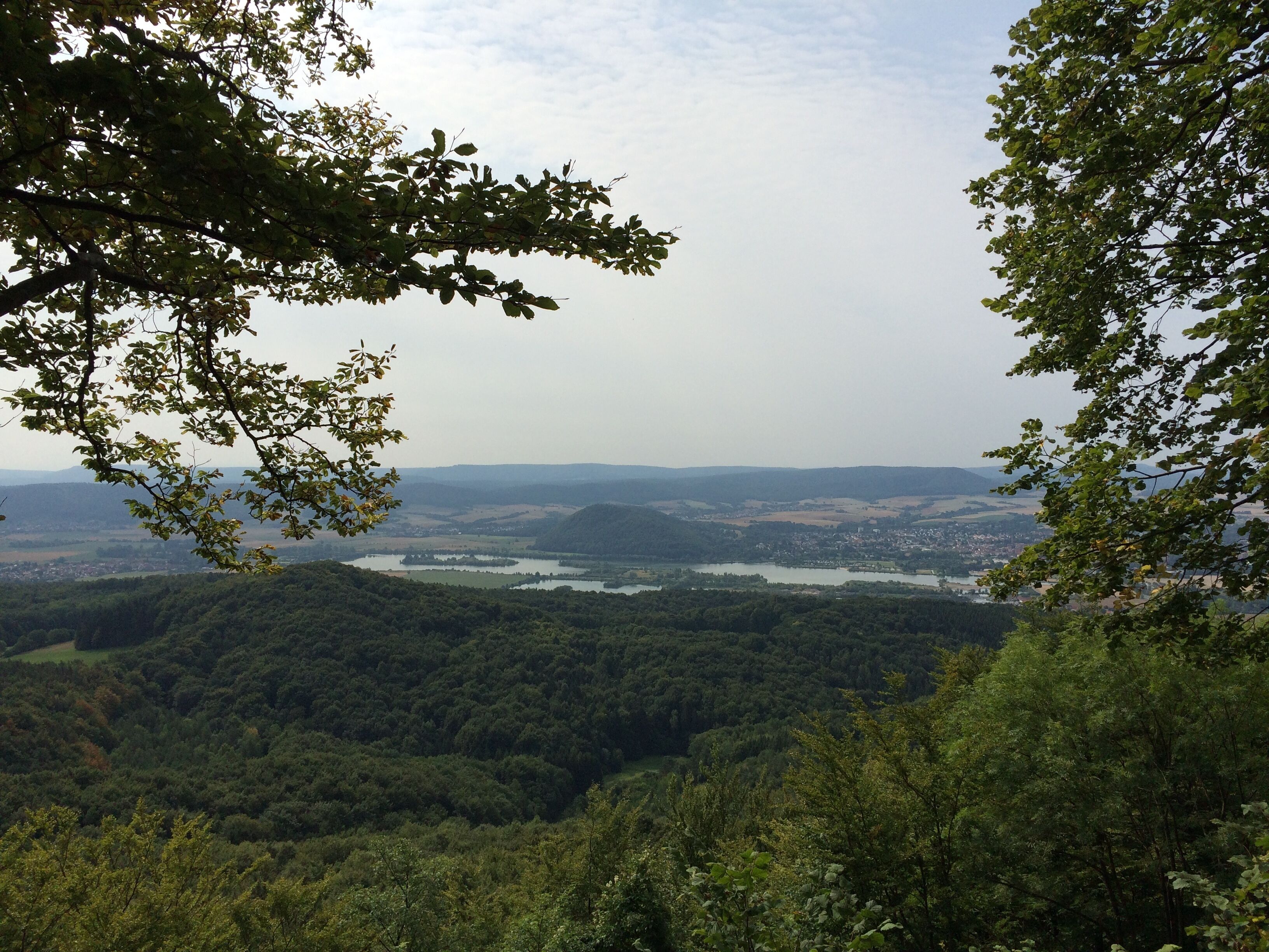 A valley with dense forest, a river, and distant hills.