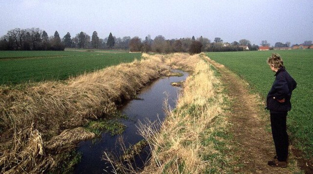 Beside the River Alne Following a footpath beside this river, which looks more like a ditch, towards Henley in Arden