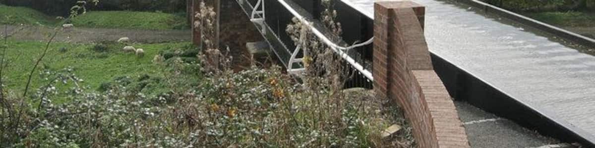 Eine Brücke über einem Fluss mit einer Grünfläche und Bäumen im Hintergrund.