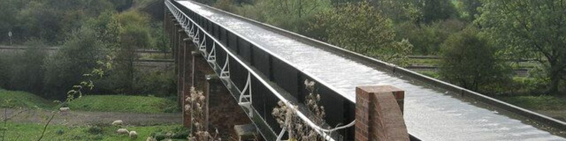 Uma ponte sobre um rio, com uma área gramada e árvores ao fundo.