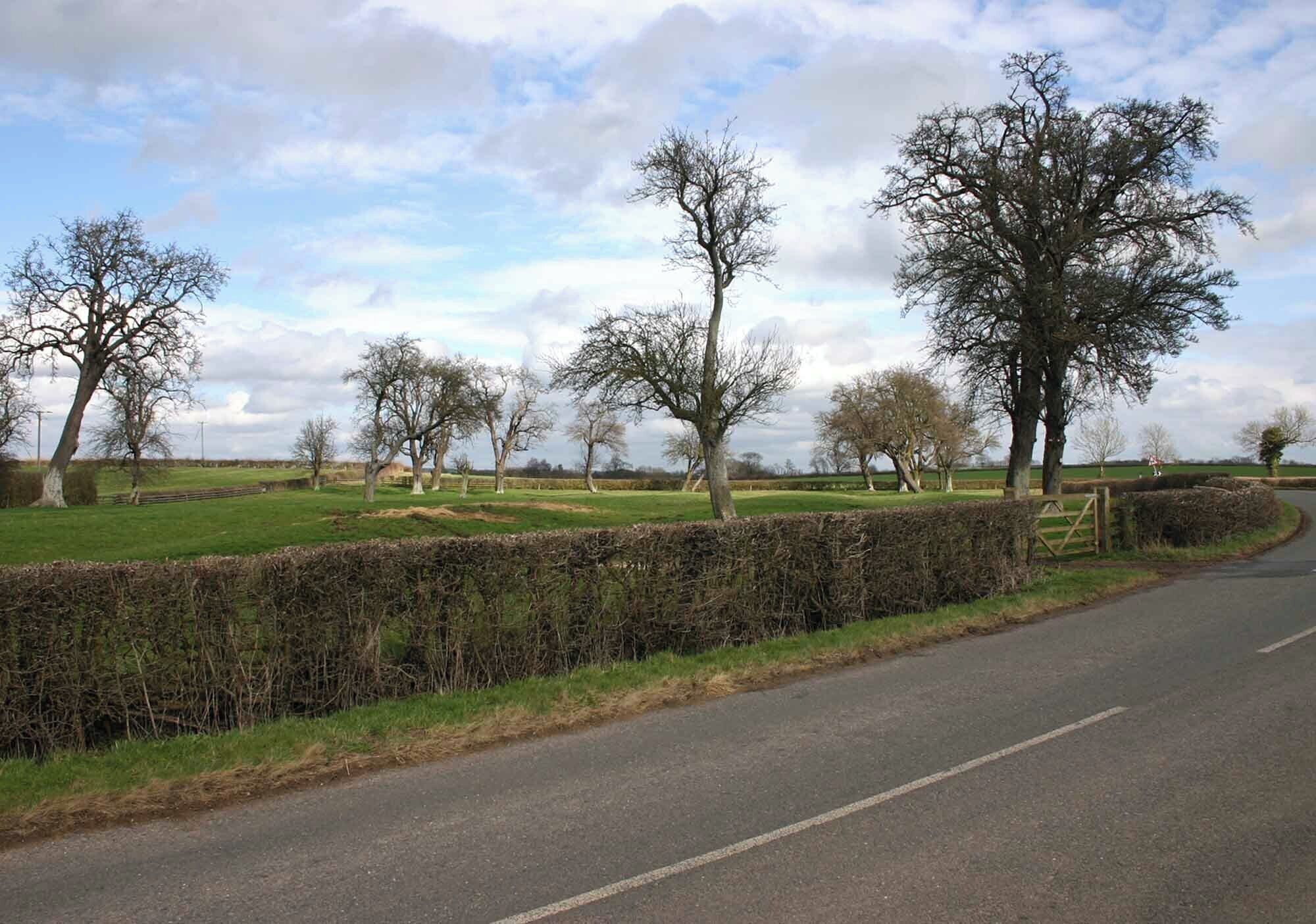 Copse near Bruton Farm, Admington Small copse to the north of Bruton Farm.
