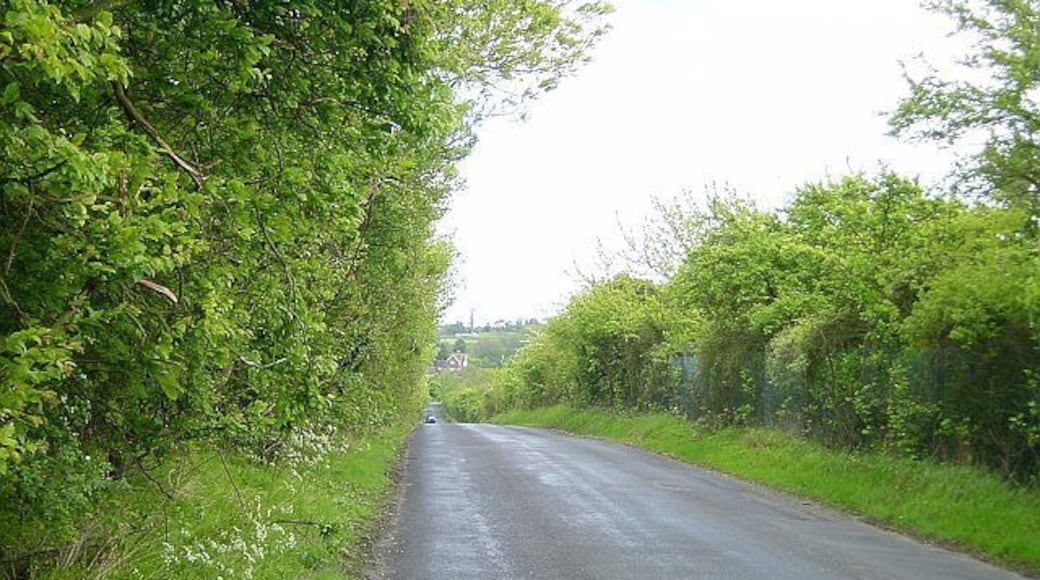 Cromers Road. This road runs between two of the three huge disused chalk pits - hence the straightness of it.