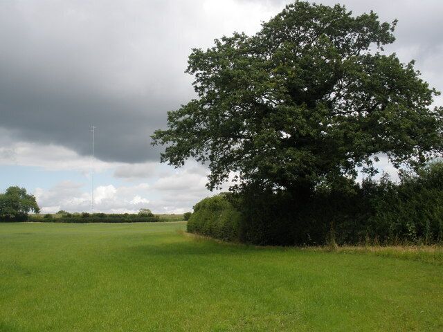 Field, near Bickerton