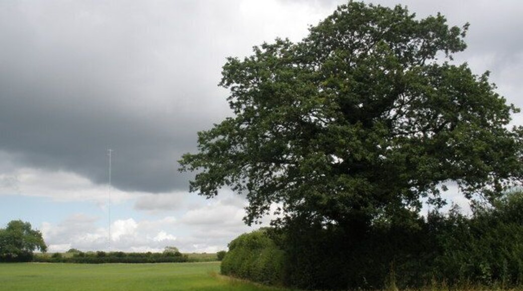 Field, near Bickerton