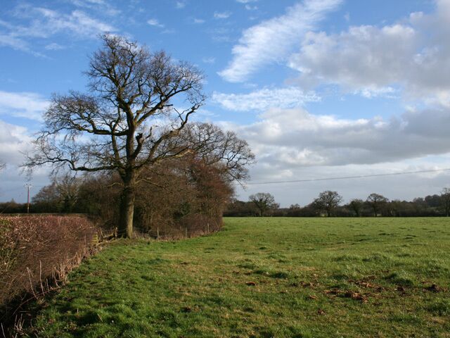 Pasture south of Bulkelehay. The trees conceal a pair of small ponds; see 712678