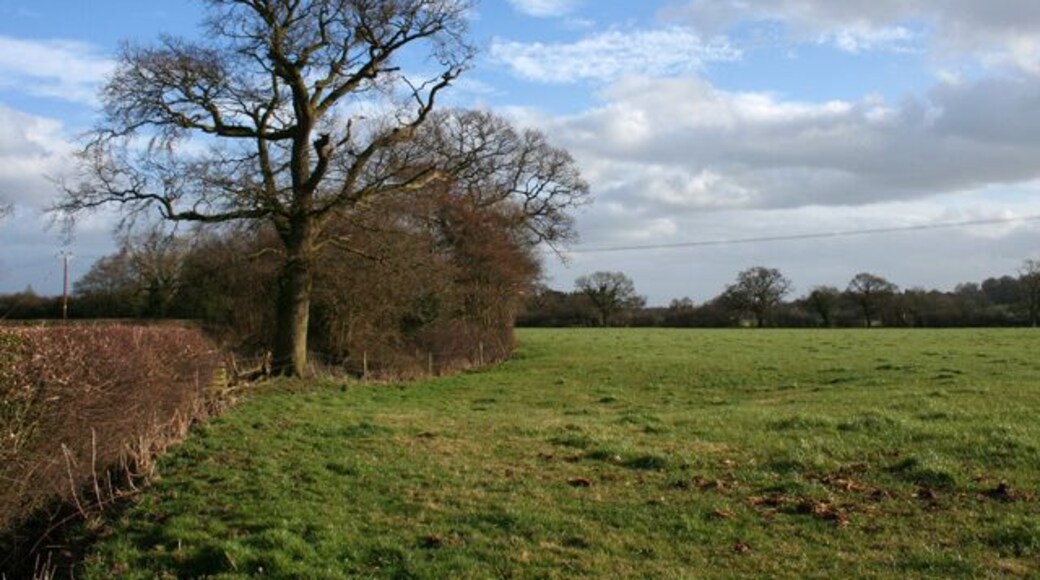 Pasture south of Bulkelehay. The trees conceal a pair of small ponds; see 712678
