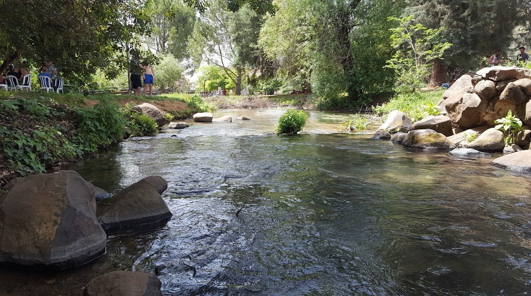 Nice place to chill, peaceful and quiet :)