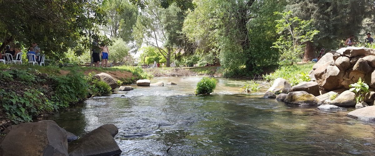 A clear stream with rocks and greenery, surrounded by trees and people in the background.