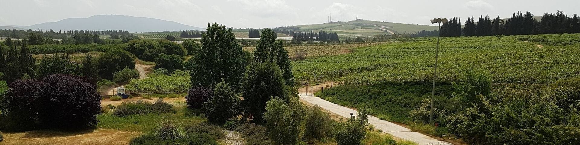 View from the balcony