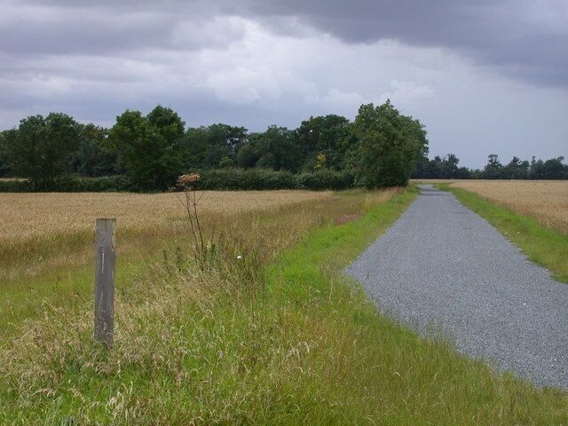 A rural road flanked by fields and trees under a cloudy sky.