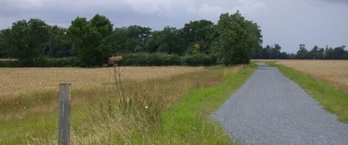 A rural road flanked by fields and trees under a cloudy sky.