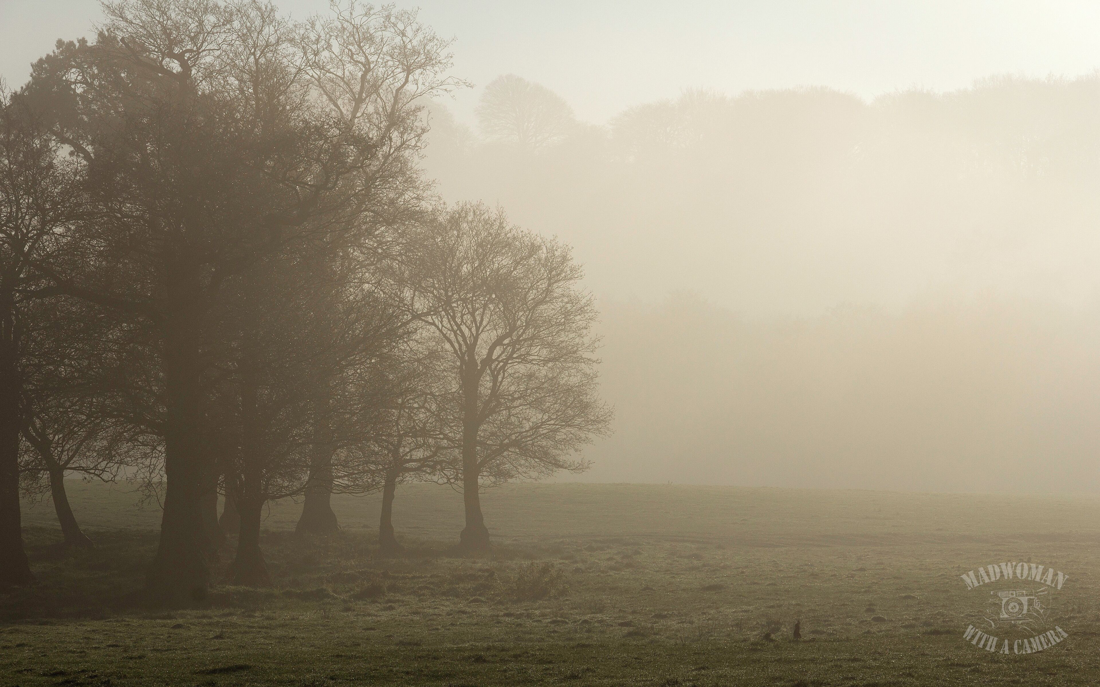 Thick fog & clear skies...