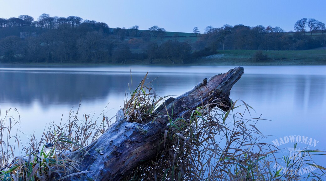 Lakeside at Blue hour