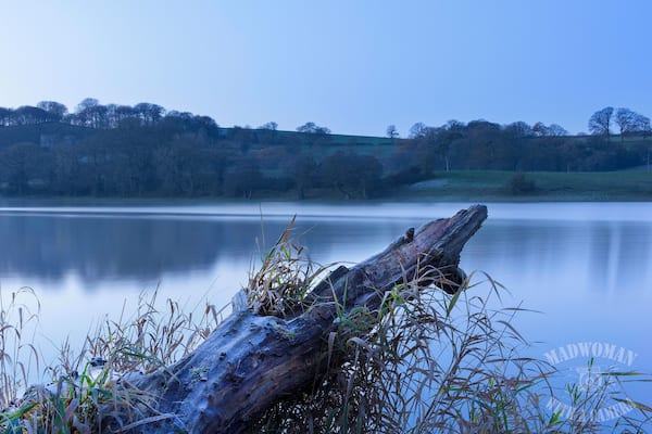 Lakeside at Blue hour