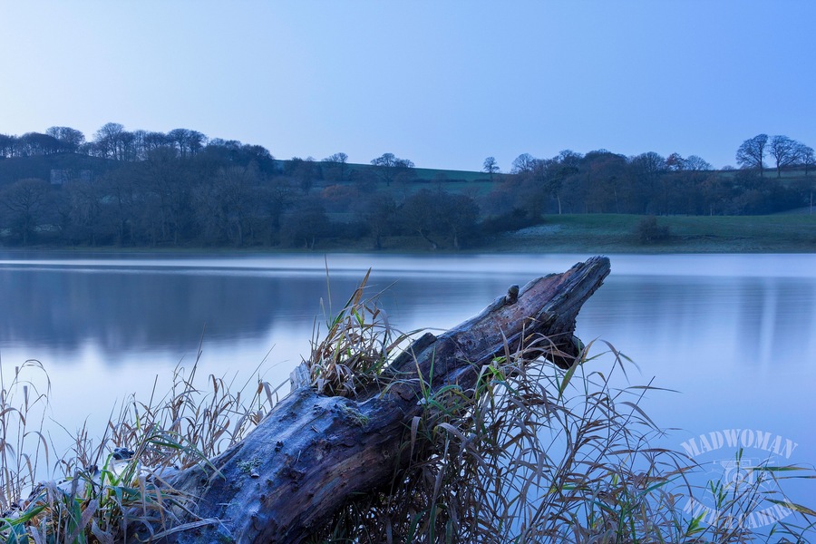 Lakeside at Blue hour