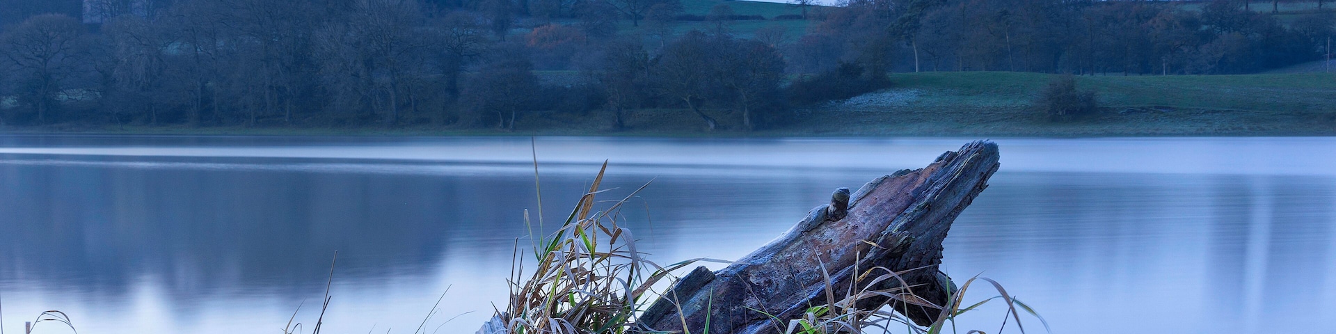 Lakeside at Blue hour