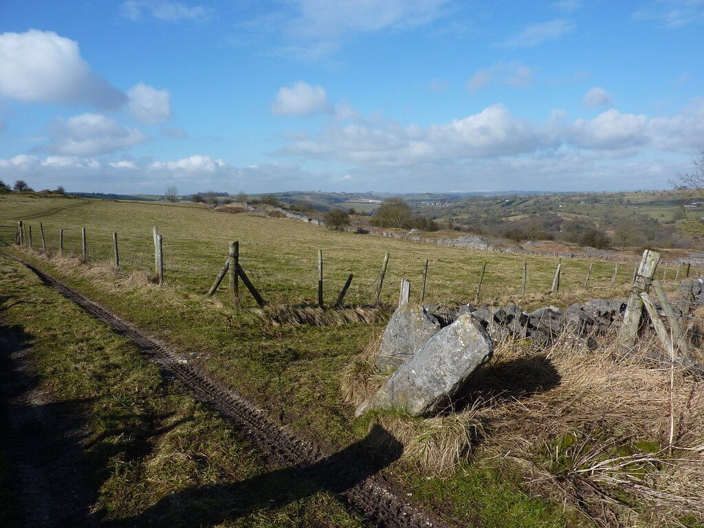 A rural landscape with a grassy field, a stone wall, and a wooden fence.