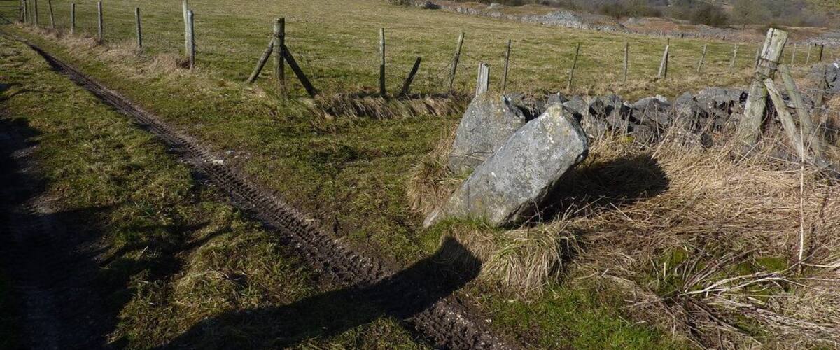 A rural landscape with a grassy field, a stone wall, and a wooden fence.