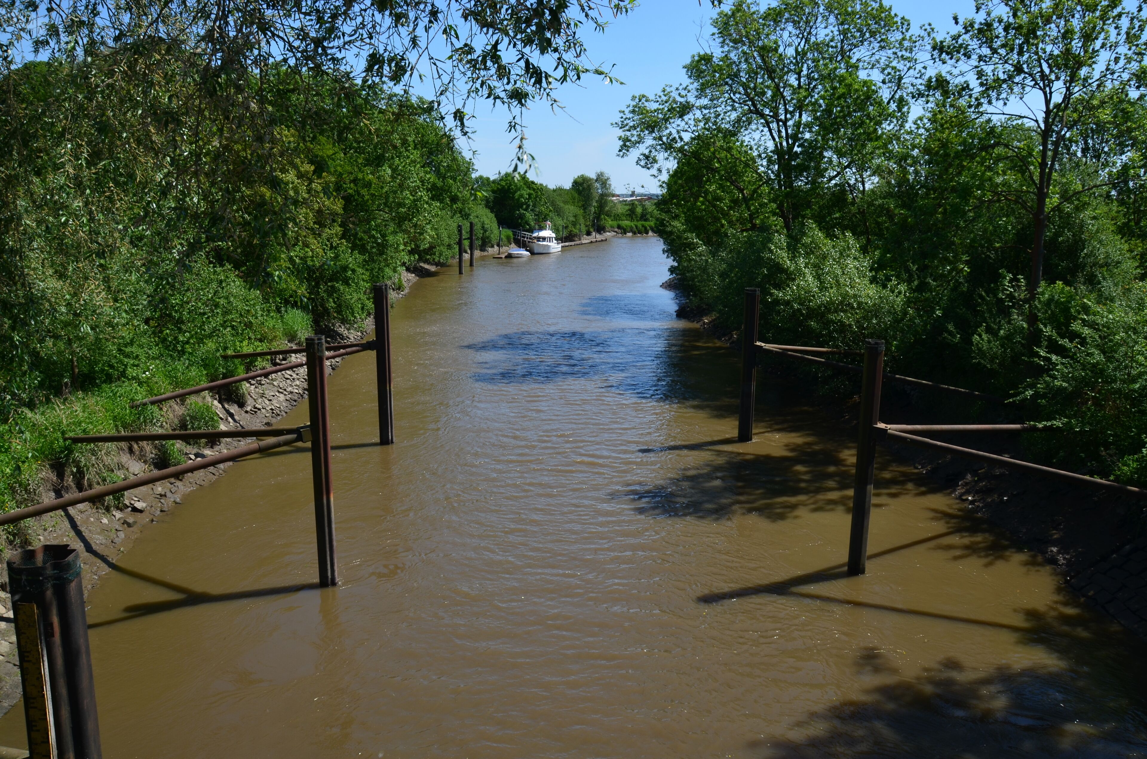 A river with a boat, surrounded by dense greenery and wooden walkways.