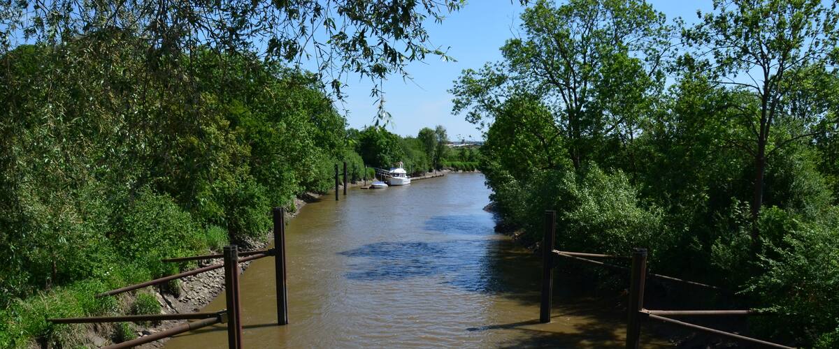 A river with a boat, surrounded by dense greenery and wooden walkways.