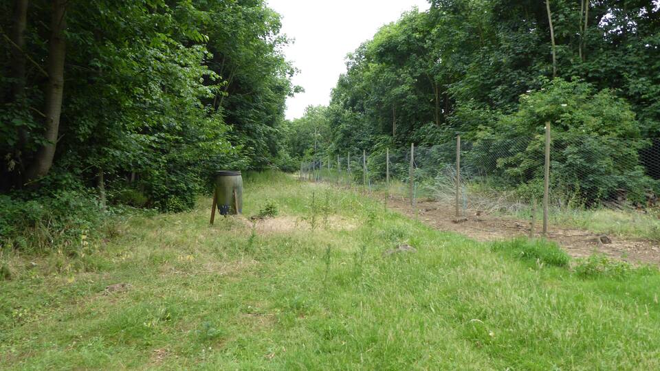 A grassy field with a metal container and a fence.
