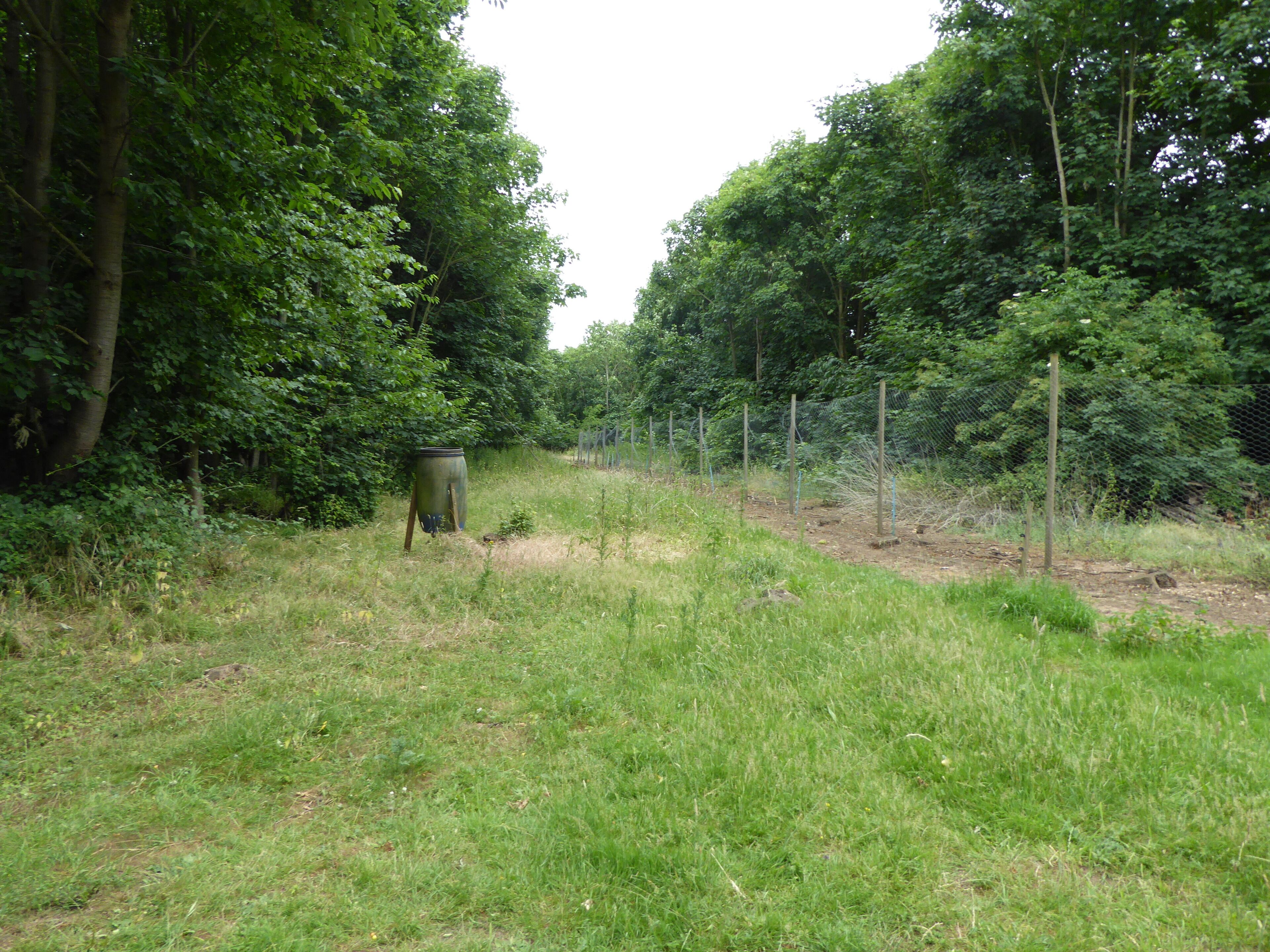 A grassy field with a metal container and a fence.