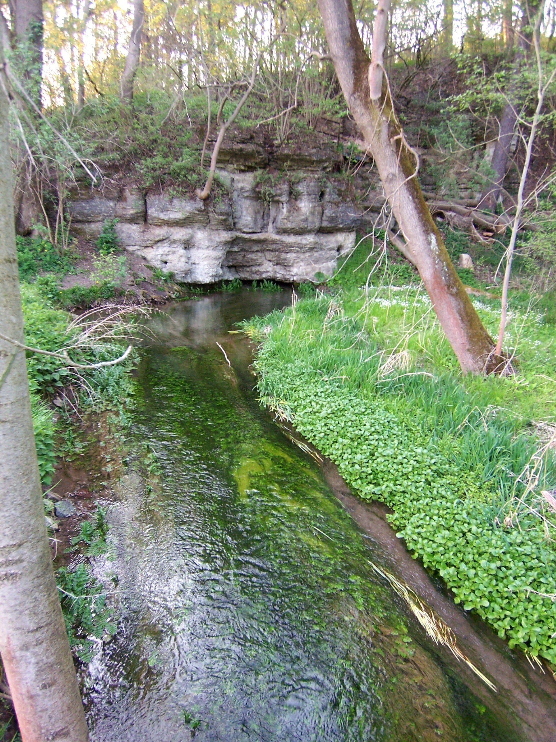 die Gera kehrt aus dem Karstuntergrund zurück
