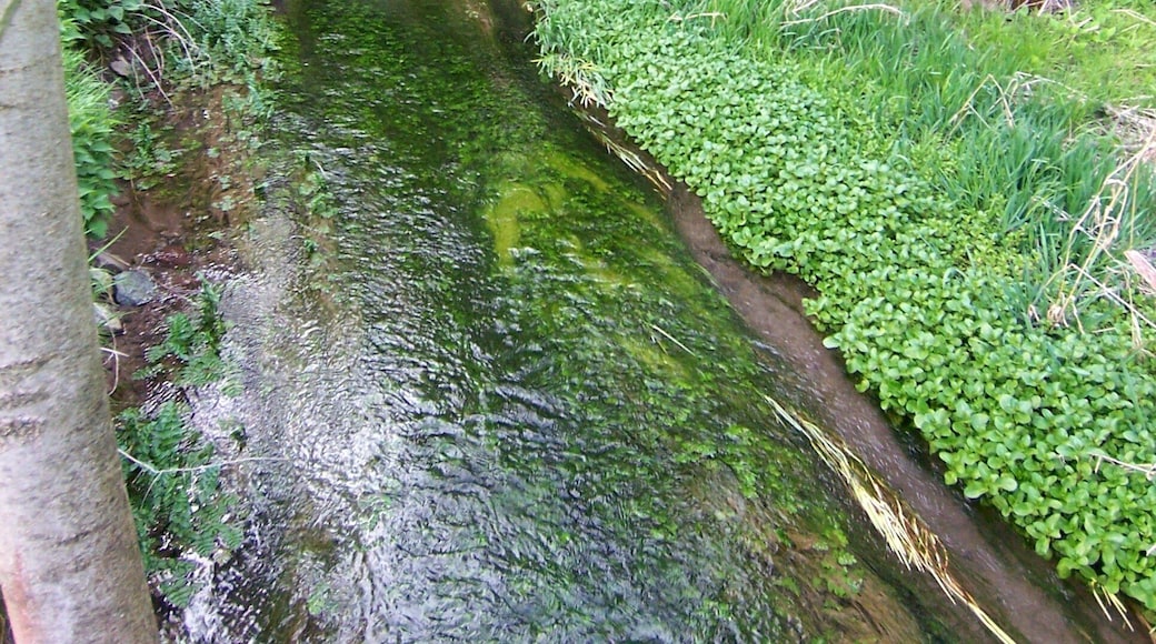die Gera kehrt aus dem Karstuntergrund zurück