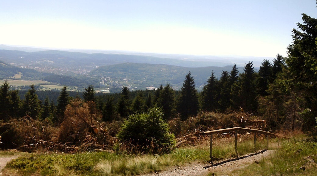 vom großen Beerberg