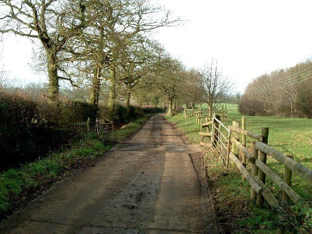 Lane to Kimberley Hall Farm. This lane leads to Kimberley Hall Farm. Looking at the 1940s map, the lane that leads to the junction here was not made up (i.e. tarmacked or metalled ) until comparatively recently, and the lane naturally leads to this farm rather than continuing to Bentley as it does now. (The Bentley lane being a spur to the right)