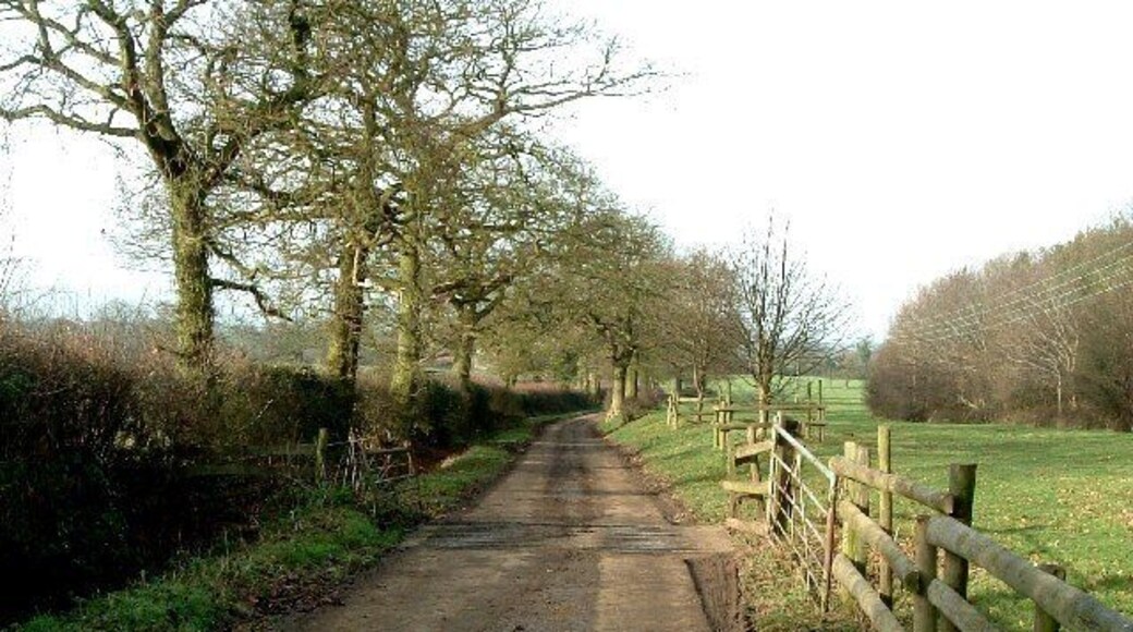 Lane to Kimberley Hall Farm. This lane leads to Kimberley Hall Farm. Looking at the 1940s map, the lane that leads to the junction here was not made up (i.e. tarmacked or metalled ) until comparatively recently, and the lane naturally leads to this farm rather than continuing to Bentley as it does now. (The Bentley lane being a spur to the right)