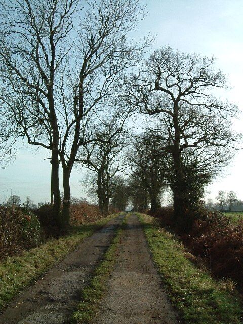 Lane to Newland Farm, Bentley. This lane leads only to Newland Farm off the B4116.