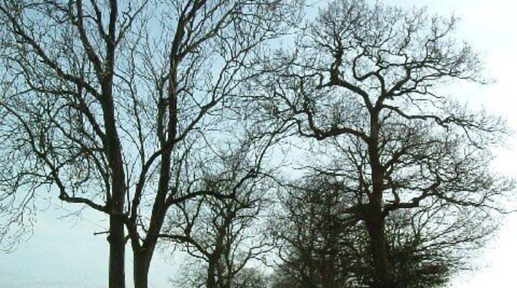 Lane to Newland Farm, Bentley. This lane leads only to Newland Farm off the B4116.