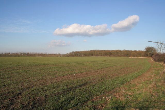Farmland near Six Hills, Leicestershire. The woodland in the distance is called Craddock's Ashes; the farm, Old Park Farm.