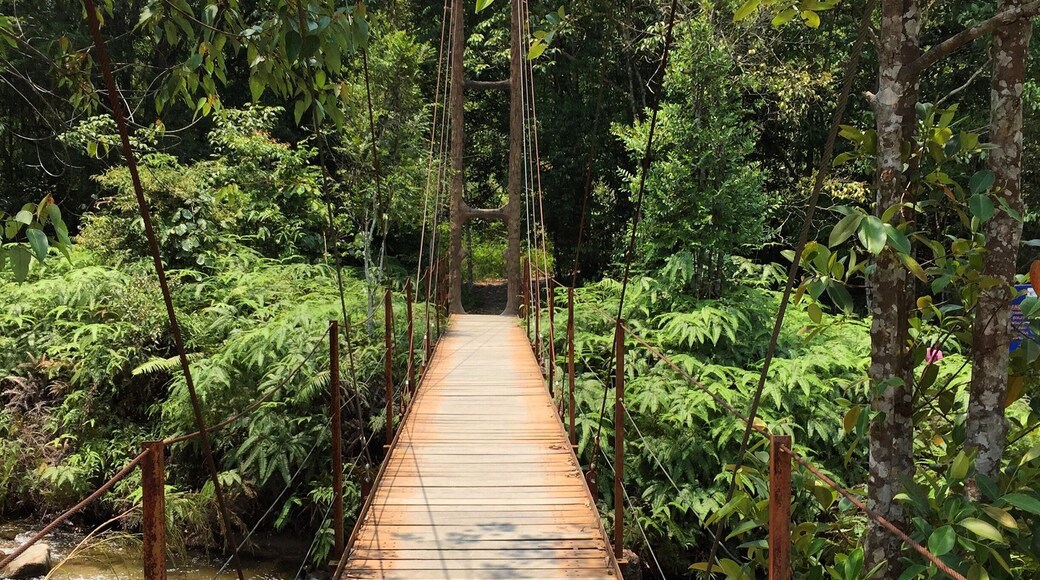 The entrance to Chilling Waterfall. The hike to the waterfall takes about an hour and you cross the river 5 times during the trek so be prepared with proper shoes and food for the fishes unless you want them eating off your toes 😝