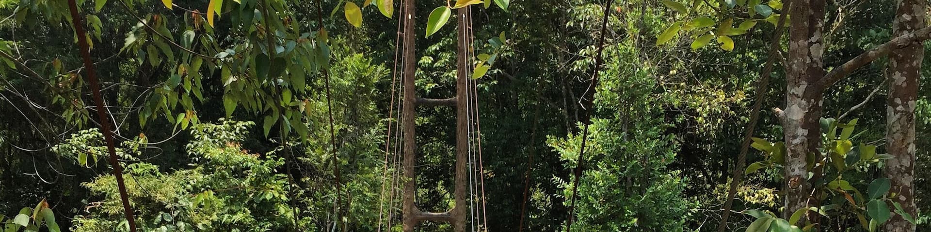 The entrance to Chilling Waterfall. The hike to the waterfall takes about an hour and you cross the river 5 times during the trek so be prepared with proper shoes and food for the fishes unless you want them eating off your toes 😝