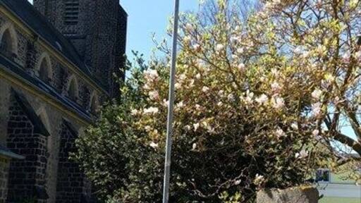 Katholische Pfarrkirche St. Willibrord Plaidt