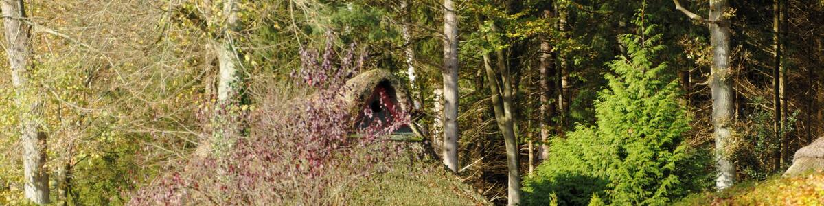 Bildermix vom Lightroomkurs 2014 in der Wingst