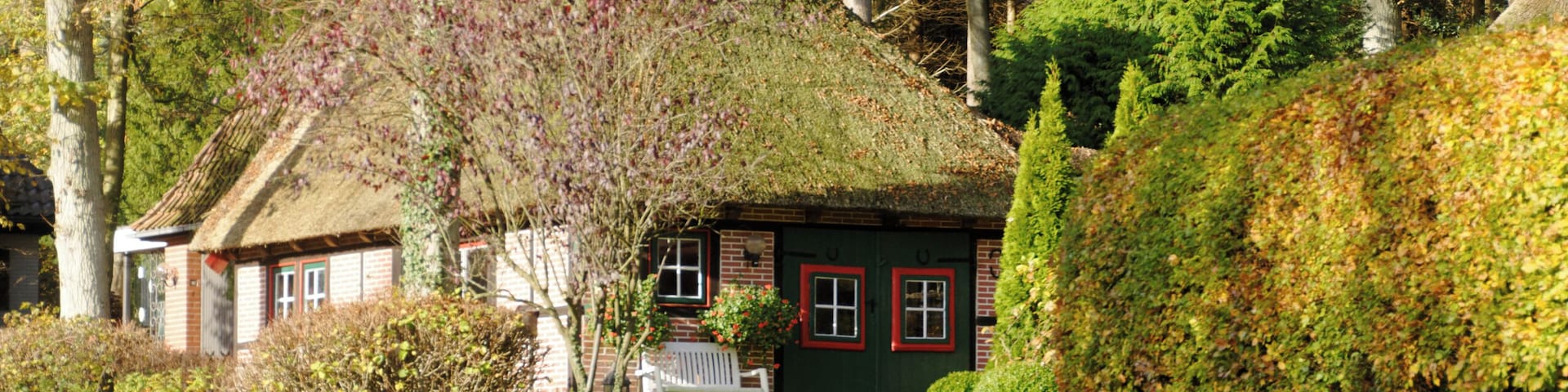 Bildermix vom Lightroomkurs 2014 in der Wingst