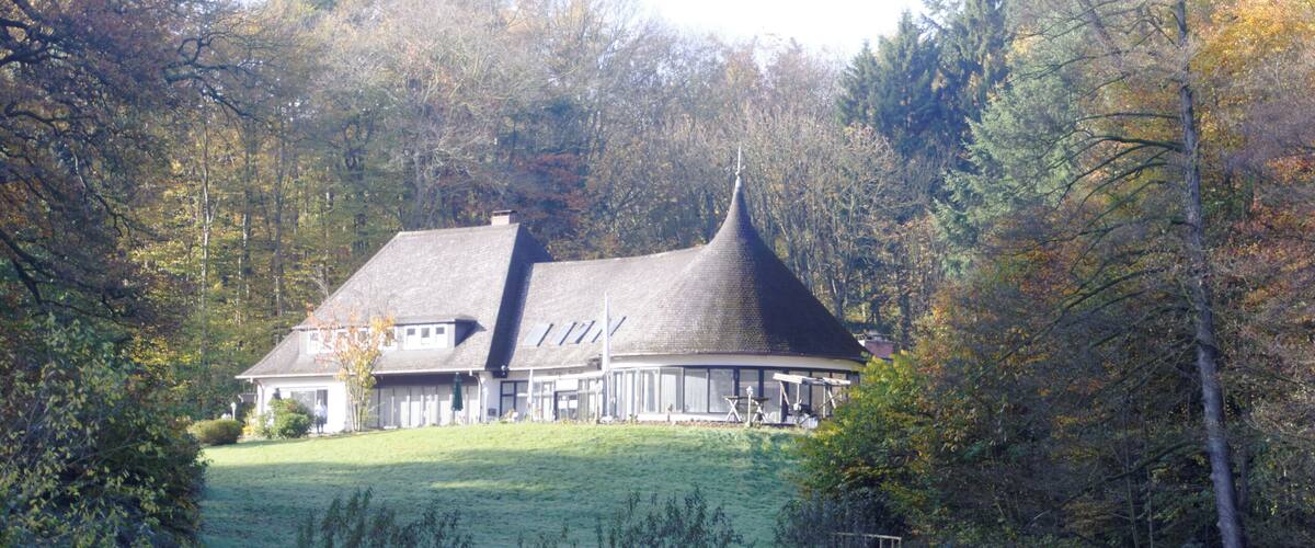 A house with a steep roof and a chimney, surrounded by trees and a pond.
