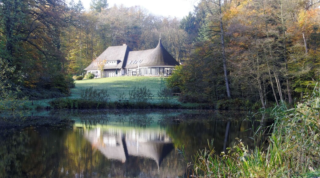 Bildermix vom Lightroomkurs 2014 in der Wingst